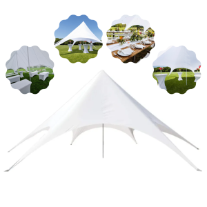 10m Economy Stretch Tent Star Canopy